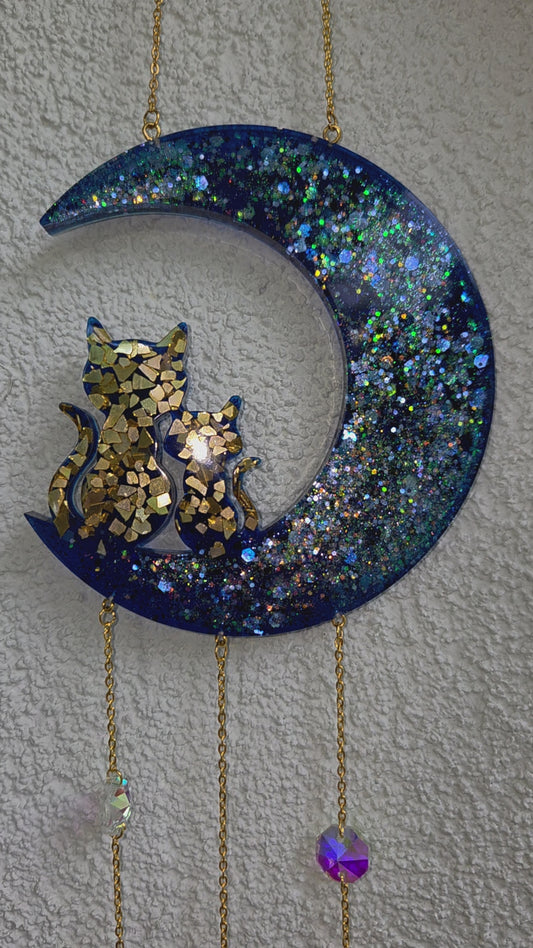 Lichtfänger Mondkatze